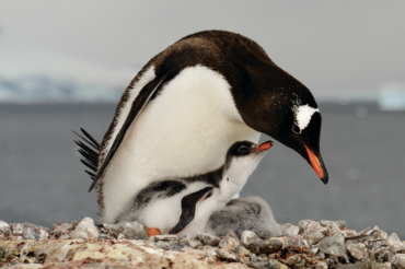 combined always free of on of Ipsum the look Latin