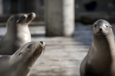 Blog Post Title Goes Here and Some Titles May Be Very Long and Will Require Three Lines