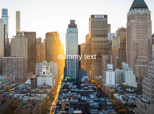 Photo caption lorem ipsum dolor sit amet, consectetur adipiscing elit. Phasellus lobortis in ex sed dignissim.