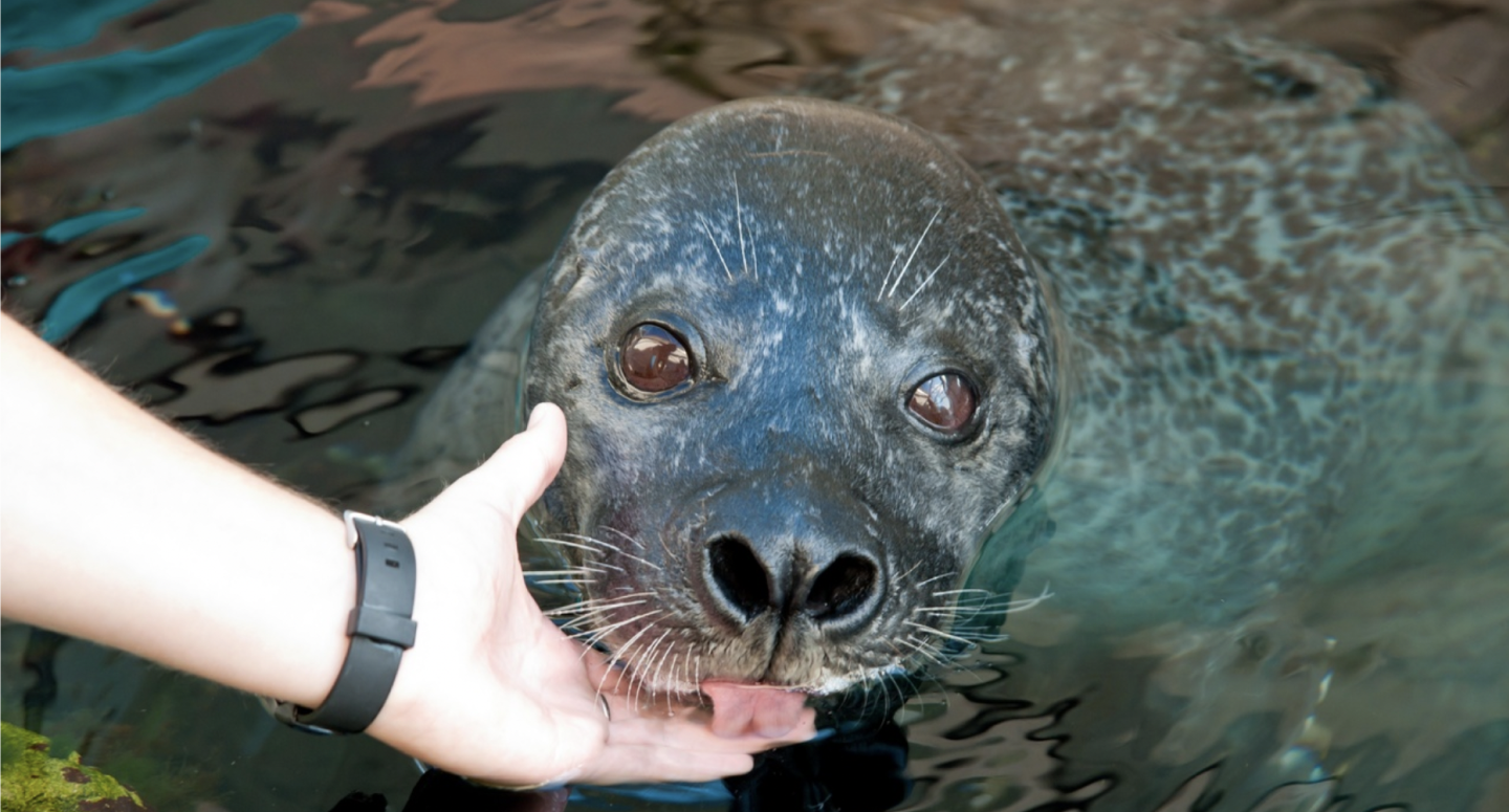 going suffered to Lorem words Ipsum majority are