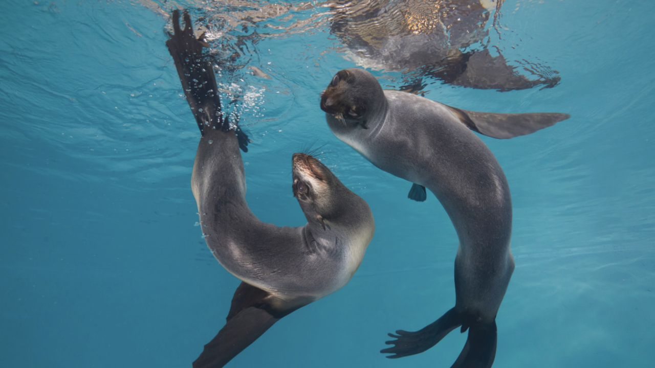 Photo caption lorem ipsum dolor sit amet, consectetur adipiscing elit. Ut venenatis, sapien et scelerisque accumsan, nulla neque iaculis est, eget euismod diam odio vel enim.Photo caption lorem ipsum dolor sit amet, consectetur adipiscing elit. Ut venenatis, sapien et scelerisque accumsan, nulla neque iaculis est, eget euismod diam odio vel enim.