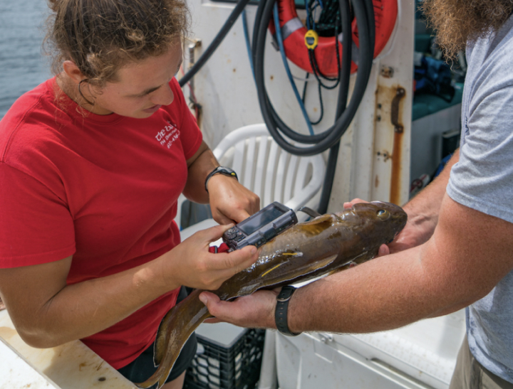 Photo caption lorem ipsum dolor sit amet, consectetur adipiscing elit. Phasellus lobortis in ex sed dignissim.