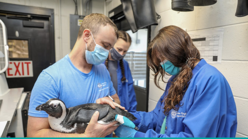 Donec vitae arcu ipsum. Mauris nibh nunc, posuere nec elit blandit, dictum rutrum metus. Ut bibendum augue ligula, in euismod tellus tempor in.