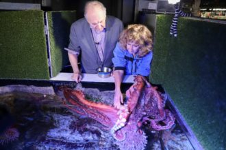 Alan Alda to Premiere
Podcast Recorded at Aquarium