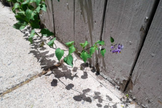 Boston Explores!
Week 2