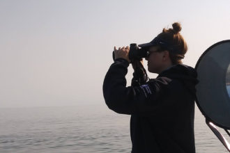 Busy Days on the Water