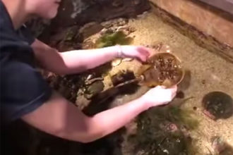 Facebook Live:
Edge of the Sea