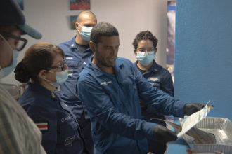 Mar de Esperanza en Osa Costa Rica: Tiburones martillo naciendo en tiempos de Pandemia Covid-19