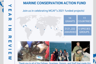 2021 MCAF Year in Review Blog