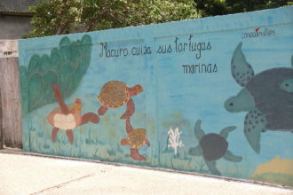 Environmental Education in 
Macuro, Venezuela