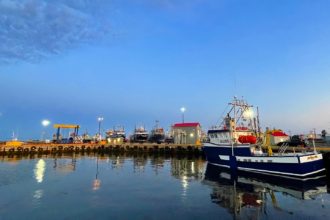 The Return to the Gulf of St. Lawrence