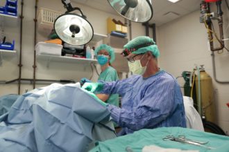 Meet the Aquarium’s 
Veterinary Team