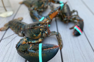 National Seafood
Month: Lobster