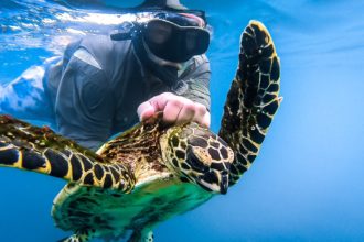 Tracking marine megafauna: Using acoustic telemetry to strengthen conservation efforts along Costa Rica’s pacific coast