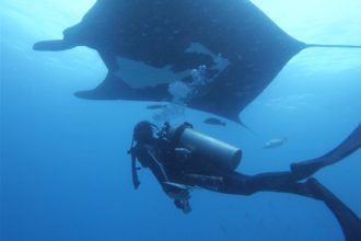 Descubriendo los secretos de la
manta gigante en Costa Rica