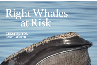 Whalewatcher Special Issue 
Features Aquarium Scientists
