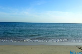 අවධානයෙන් ගිලිහී ගිය ශ්‍රී ලංකාවේ මඩු මසුන්